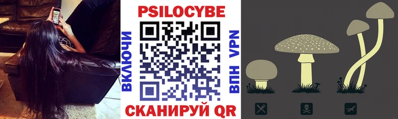 Псилоцибиновые грибы Cubensis  купить наркоту  Печора 