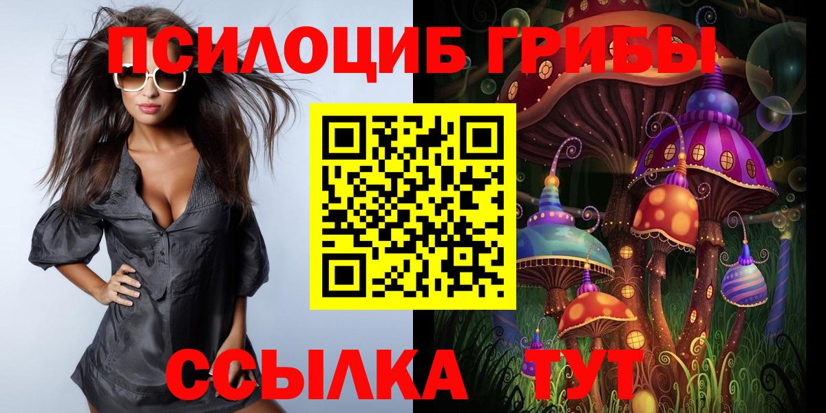 Печора  Псилоцибиновые грибы Cubensis  Псилоцибиновые грибы Psilocybe  Вход с VPN 