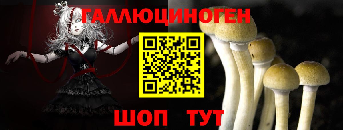 Галлюциногенные грибы Magic Shrooms Печора
